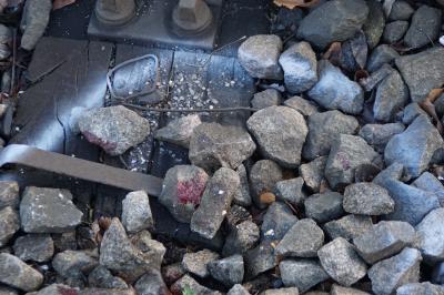 Stuttgart: Fussgaenger uebersieht Stadtbahn und wird schwer verletzt